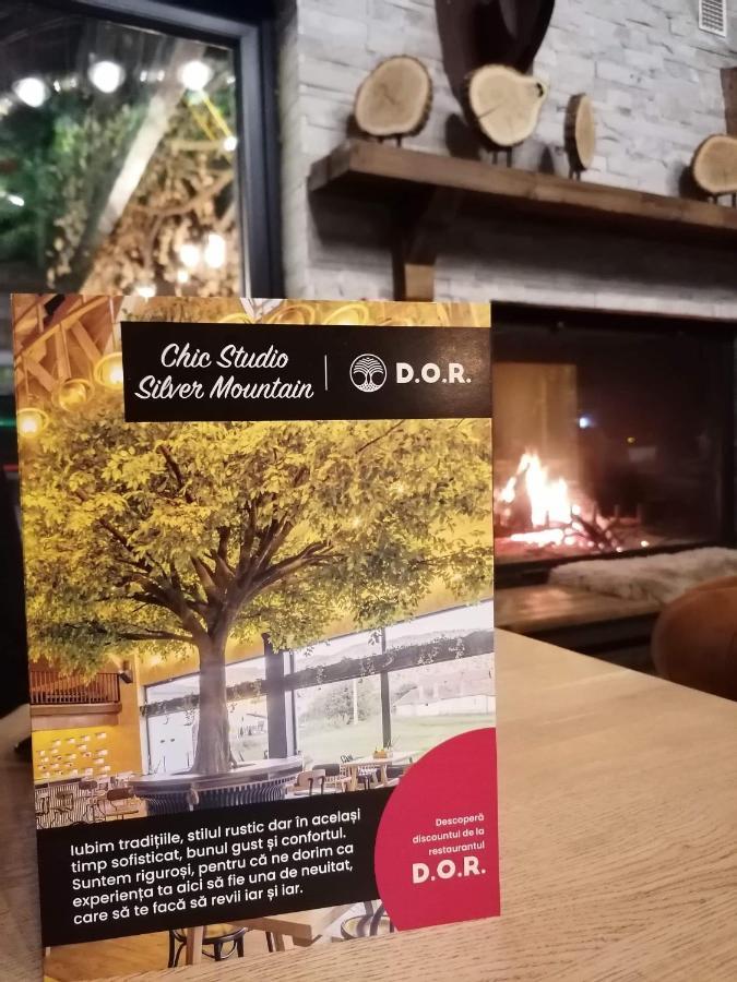 Chic Studio Silver Mountain Poiana Brasov Ngoại thất bức ảnh